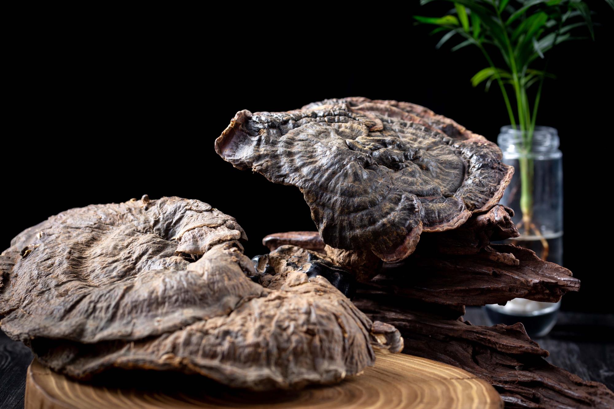 人到中年为何易发福？肥胖有八大健康风险