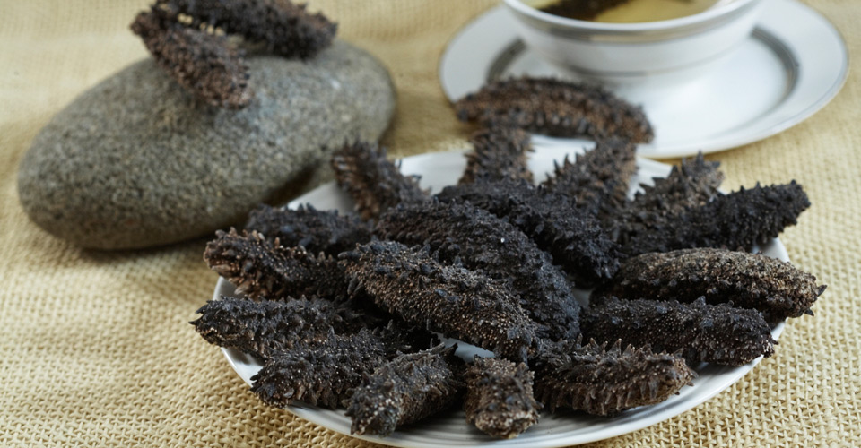 食用海参益处多！海参进补时间你知道吗？